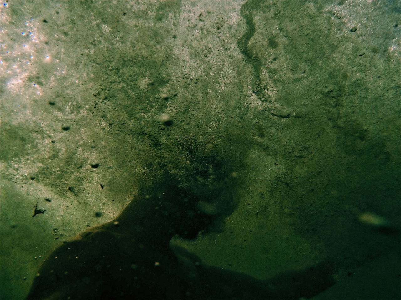 man;water;moss,nature,underwater,men,one person,water, 