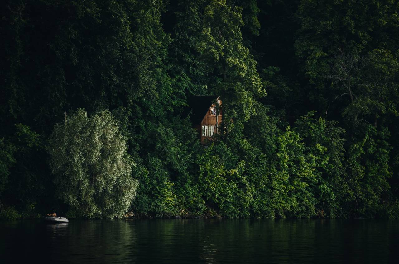 cabaña de madera;bosque,naturaleza,árbol,al aire libre,bosque,verano,agua,paisaje,escena rural,color verde,