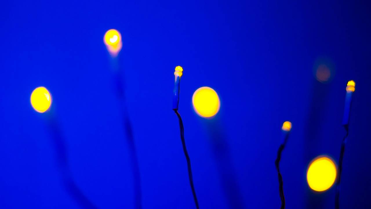 background;lights,blue,night,backgrounds,illuminated,lighting equipment,glowing,abstract,bright,vibrant color,shiny,yellow,close-up,defocused,dark,nature,celebration, 