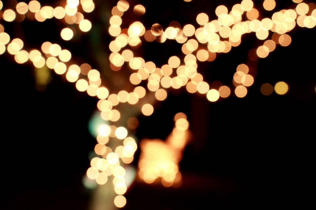fondo;luces,desenfocado,fondos,noche,resumen,brillante,brillante,iluminado,equipo de iluminación,celebración,oscuro,brillante,decoración,amarillo,patrón,telón de fondo,luces navideñas,purpurina,círculo,luz,fenómeno natural,multicolor, color vibrante, fondo negro,