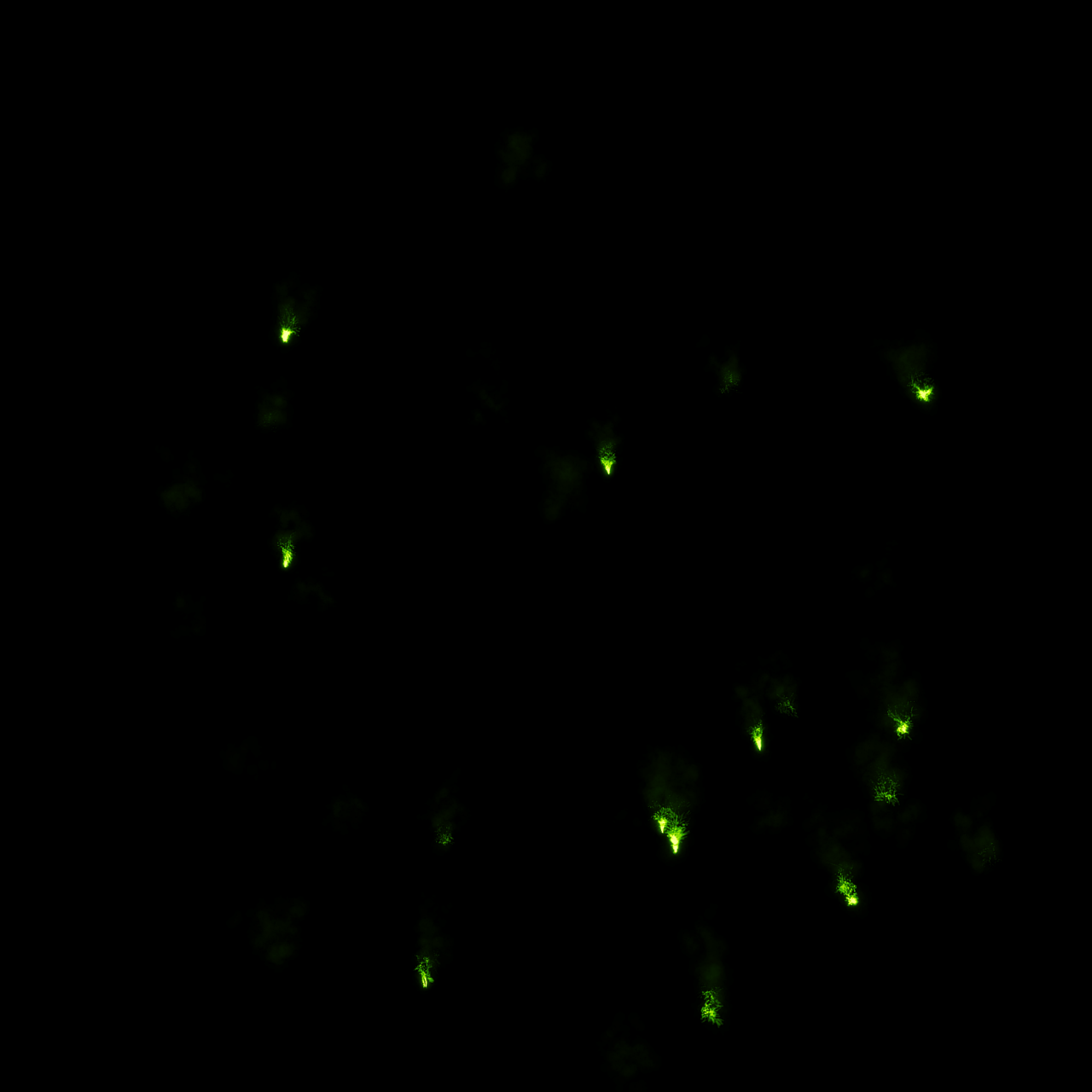  Fireworks,overlay,png,backgrounds,abstract,night,glowing,shiny,defocused,pattern,illuminated,dark,nature,black background,bright,green color,lighting equipment,multi colored,space,decoration,backdrop,circle
