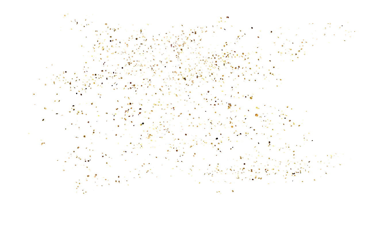 🥇 Image of Golden Confetti overlay 【FREE PHOTO】 100032700