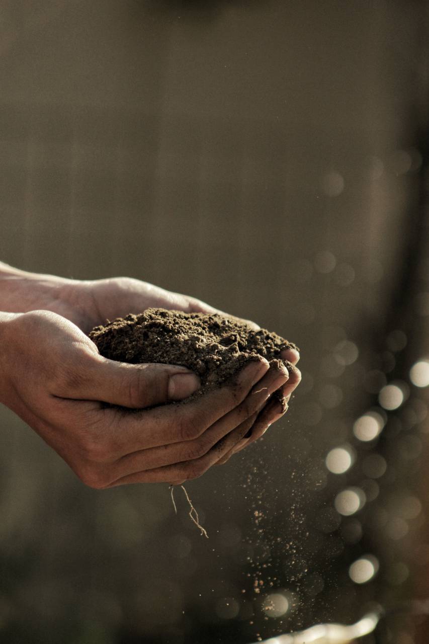 male hands;holding;compost,human hand,close-up,holding,nature,men,one person,adult,part of,hand,agriculture,freshness,growth,caucasian ethnicity, 