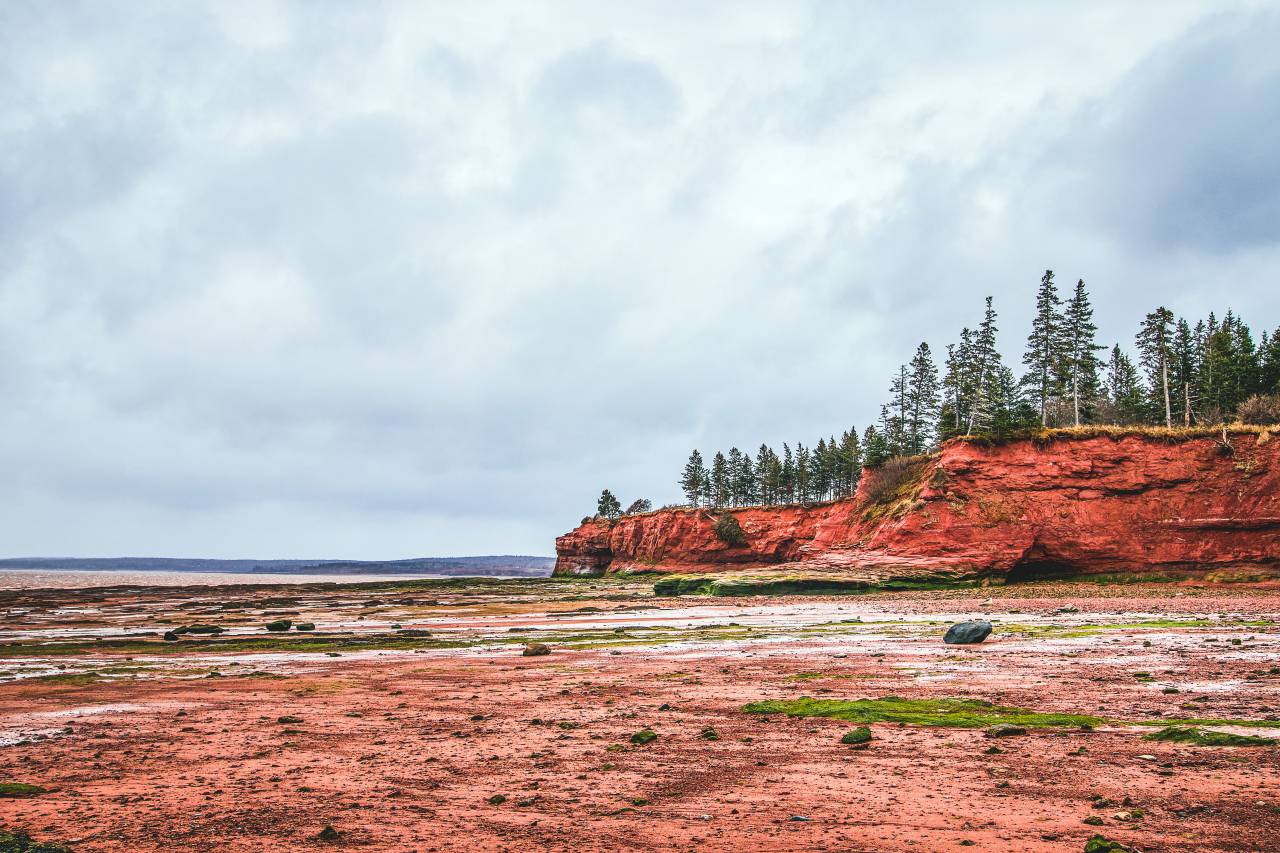 costero, paisaje, océano, orilla, rocoso, árboles, horizonte, mar, nubes, cielo, naturaleza, al aire libre, marea, arena, rocas,