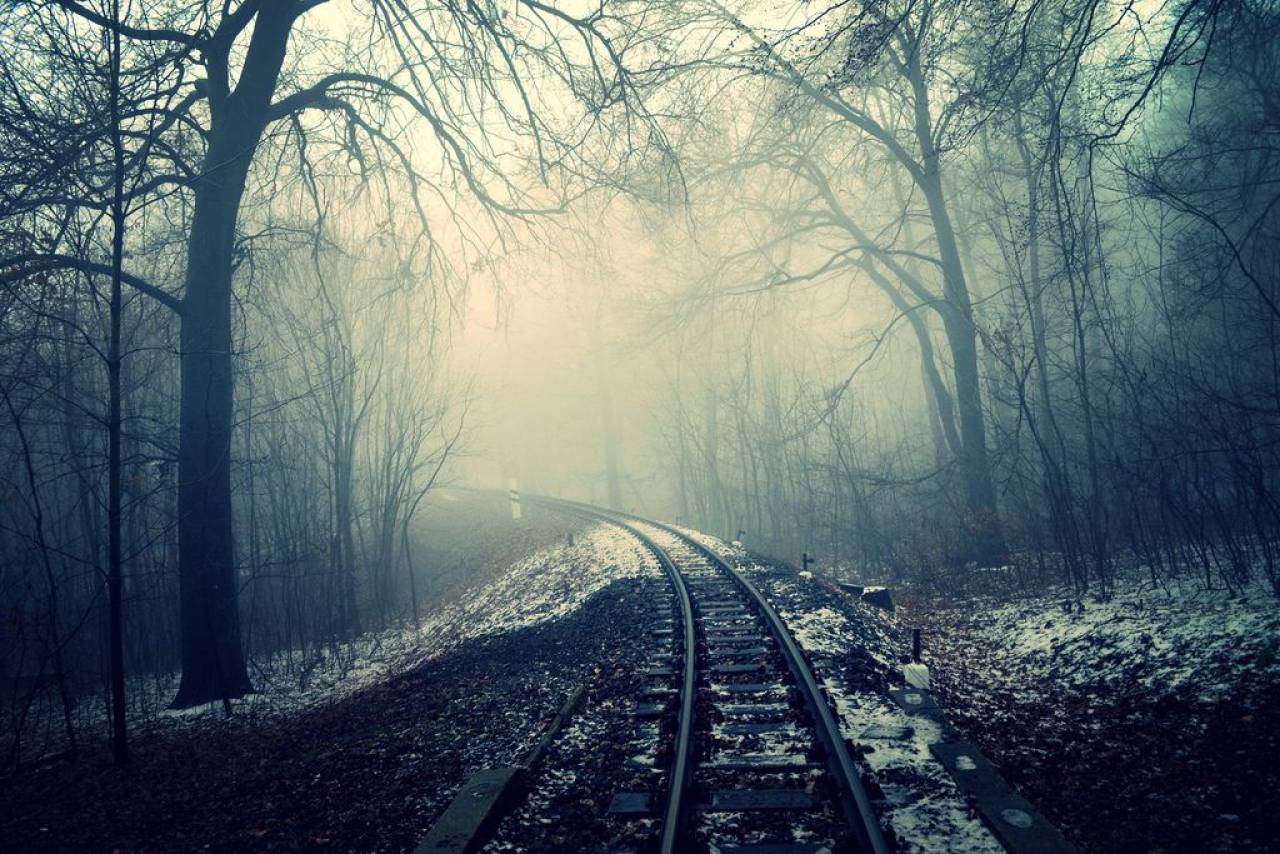 dark, mist, fog, haze, night, train tracks, railroad, railway, trees, forest, winter, snow, cold
, 