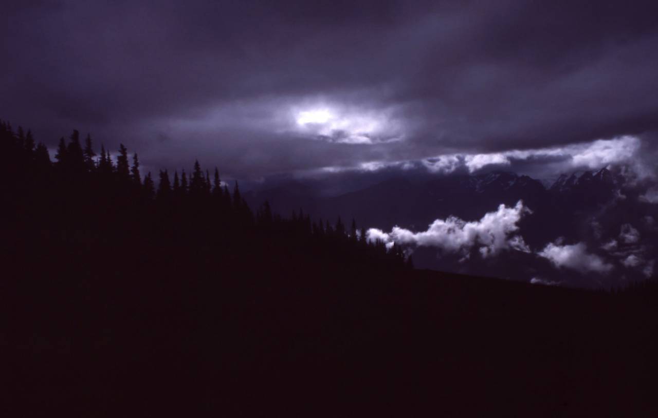 dark, night, clouds, sky, trees, nature, shadow
, 