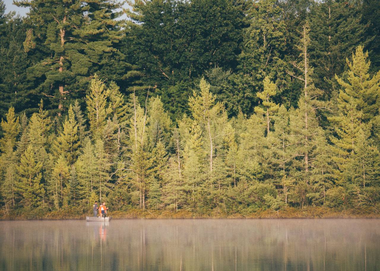 fishing, boat, people, lake, water, boat, trees, forest, woods, nature, outdoors, green
, 