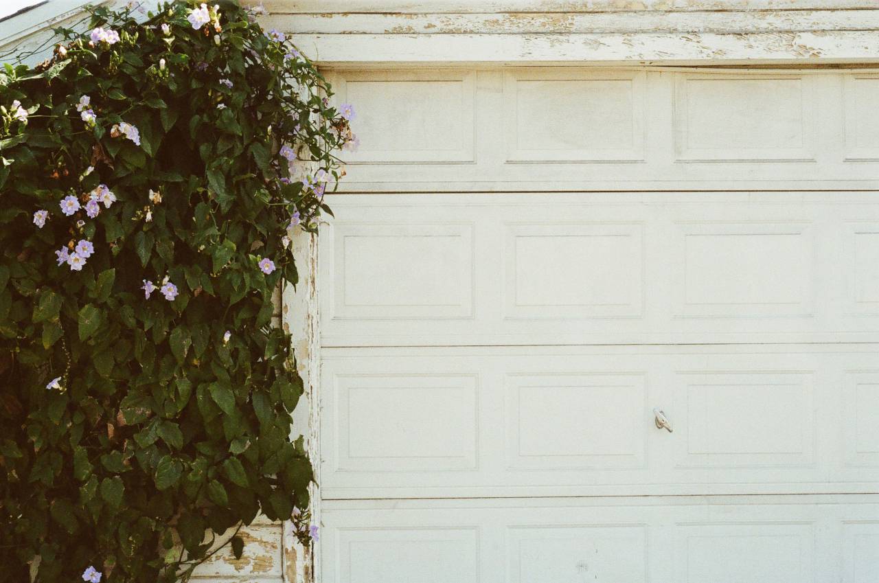 garage door, white, plant, flowers
, 
