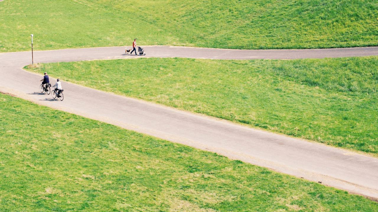 Verde, césped, césped, campo, camino, calle, camino, bicicleta, gente, fitness, ejercicio, caminar, al aire libre,