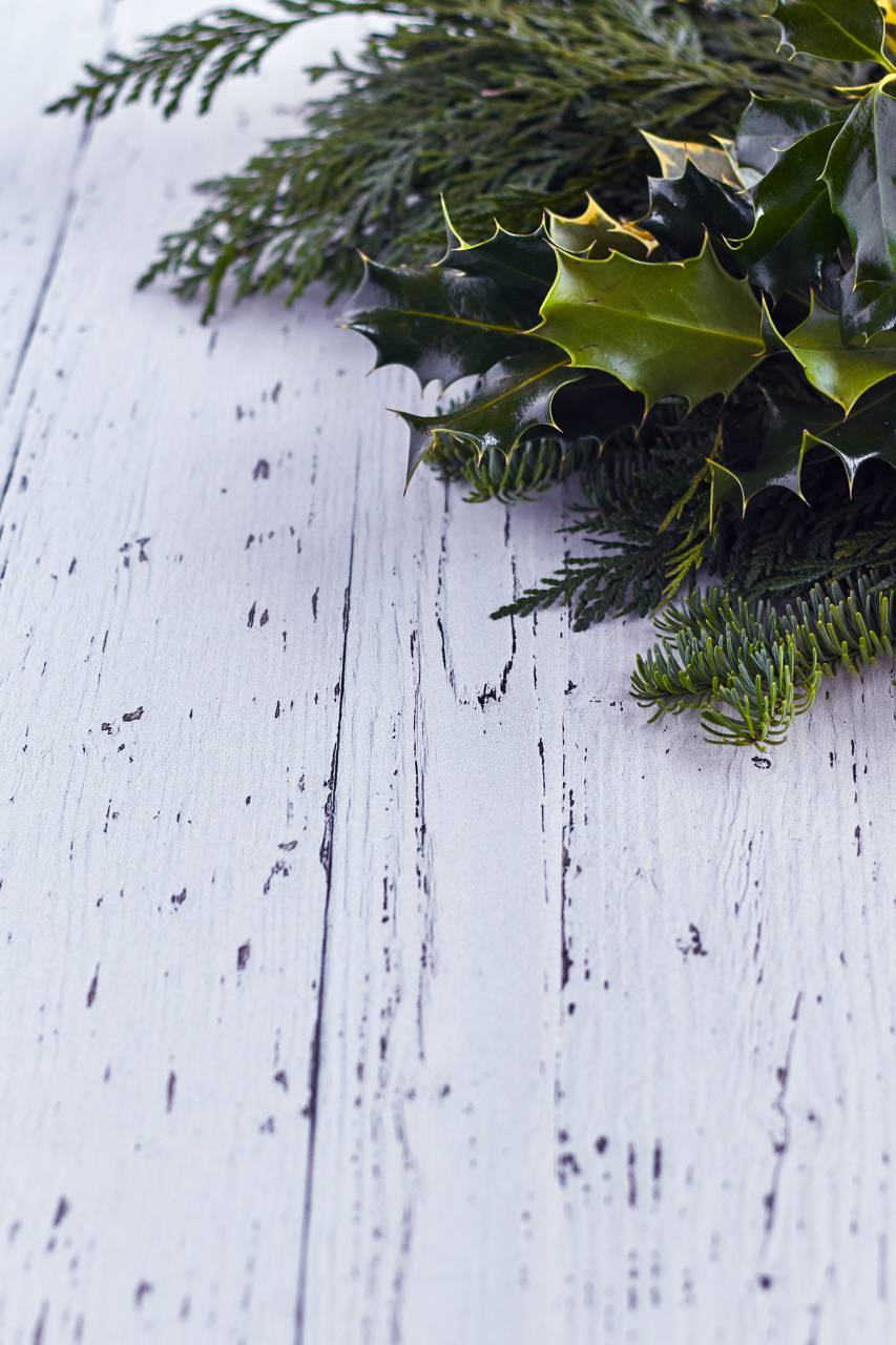 Acebo, estacional, fondo, Navidad, invierno, rústico, madera, verde, rama, decorativo, Navidad, vacaciones, copyspace, decoración, textura,
