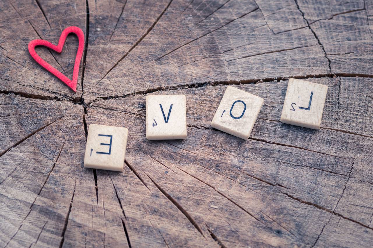 Amor, letras, madera, iniciar sesión, árbol, rústico, amor, corazón, rojo, palabras, escribir, romántico,