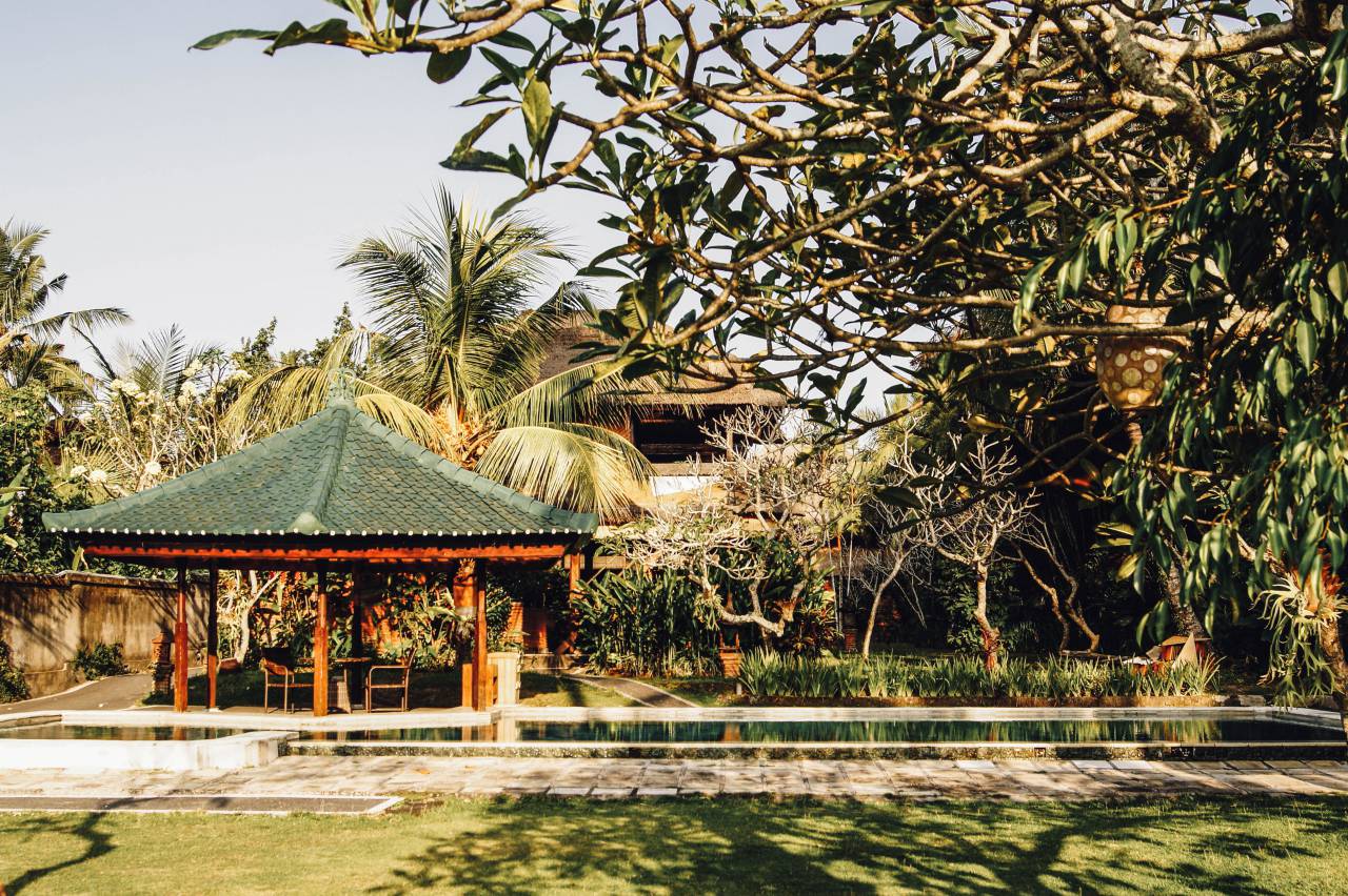 nature, landscape, garden, trees, leaves, green, grass, pool, swim, summer
, 