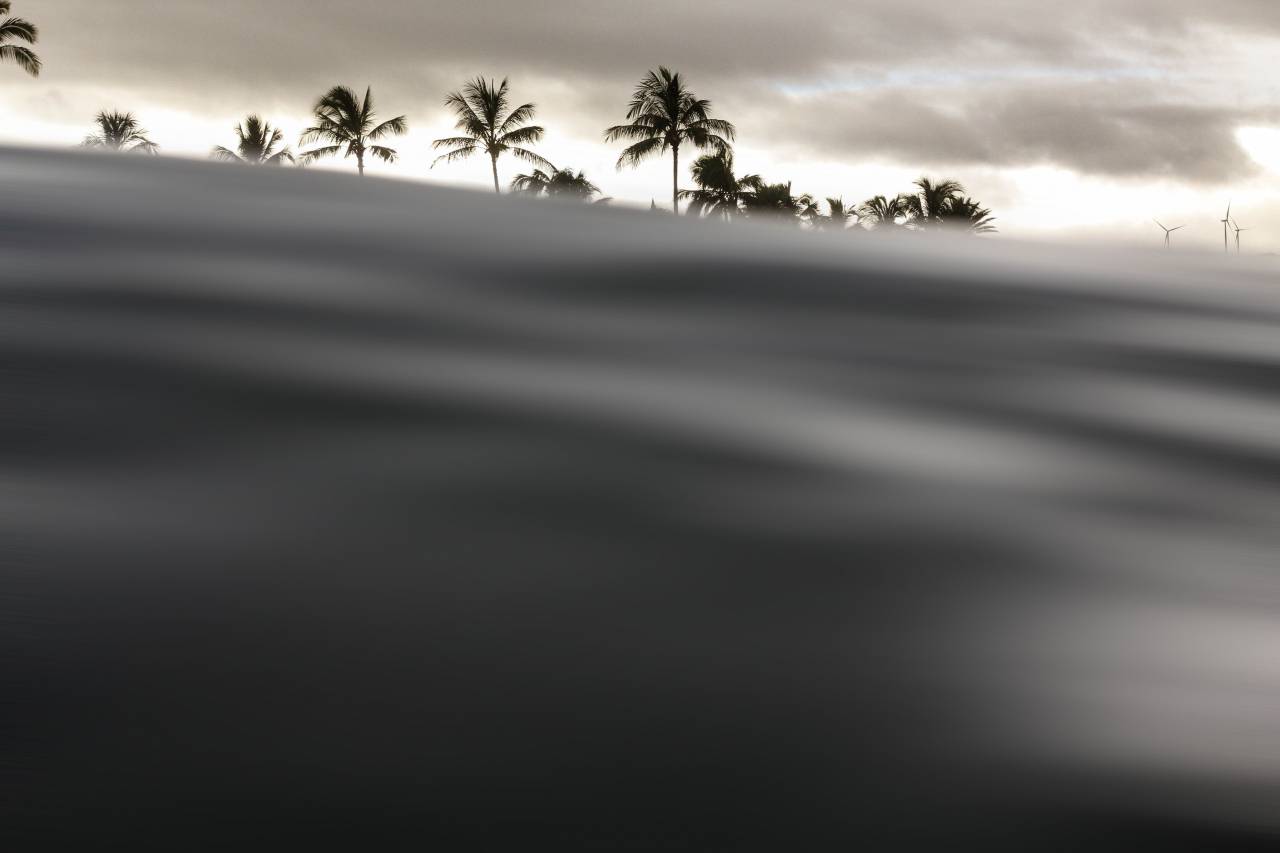 windmill, coconut, tree, plant, clouds, sky, water, waves, nature
, 