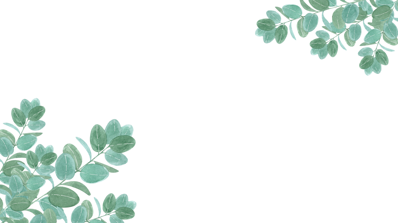  Troplical Leaves,overlay,png,leaf,nature,plant,backgrounds,green color,tree,pattern,vector,summer,illustration,design,abstract,decoration,branch,freshness,season,growth,environment,forest