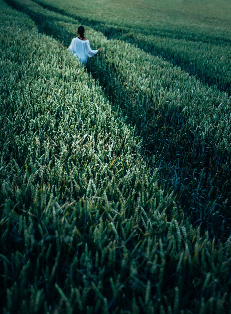 nature, woman, pasture, outdoors, landscape, field, walking, rural, outdoor, girl, walk, countryside, meadow, environment, beautiful, summer, travel, grass, scenic, adventure, hike, freedom, lifestyle, land, people, green, active, sky, hiking, mountain, idyllic, recreation, woods, autumn, beauty, tree, country, leisure, sunlight, forest, female, vacation, animal, red, background, trip, trail, person, explore, farm, 