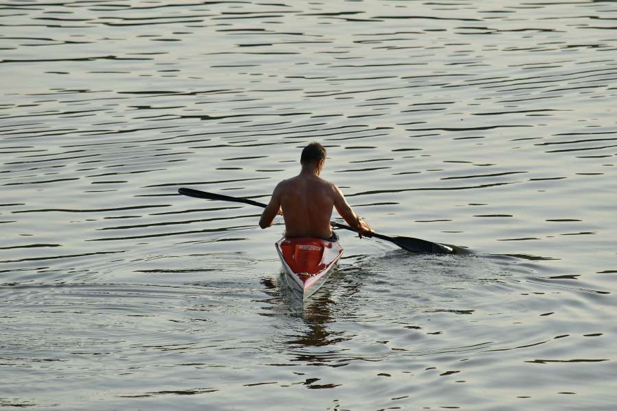 canoe, canoeing, handsome, man, sport, oar 