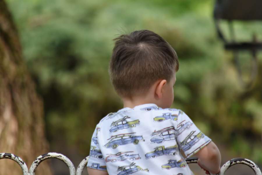 boy, fence, park, childhood, kid, nature 