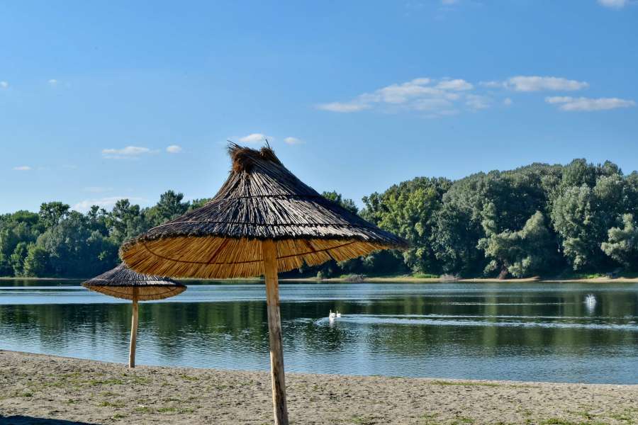 praia, areia, horário de verão, cisne, verão