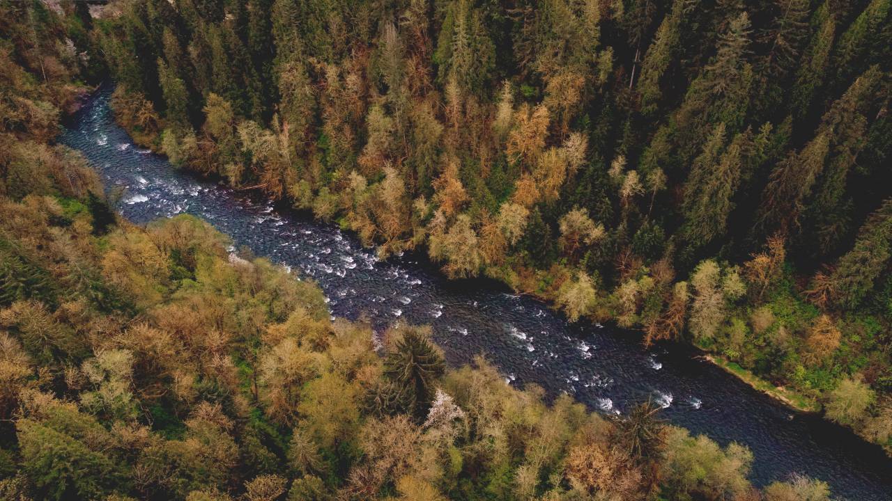 Aérea, río, bosque, naturaleza, aire libre, agua, paisaje, sereno, zumbido, árboles, bosques,