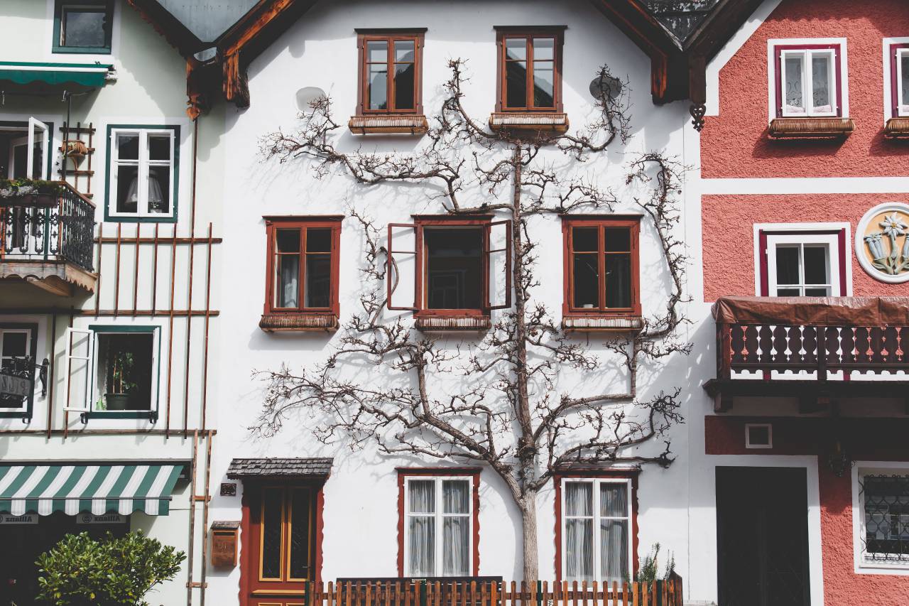 Arquitectura, casa, balcón, apartamento, árbol, ramas, naturaleza, fachada,