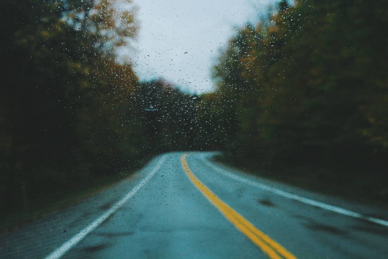 autumn, fall, trees, plant, nature, forest, dark, rain, road, trip, travel, wet, glass, raindrops
, 