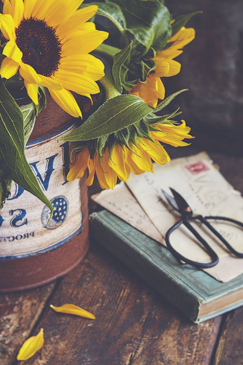 libro, mesa, Flores, rústico, madera, ramo, tijeras, arreglo, Fresco, cortar, floral, Lay Flat, floristería, diseñador, jardinero, girasol, vendimia, decoración, carta, amarillo,