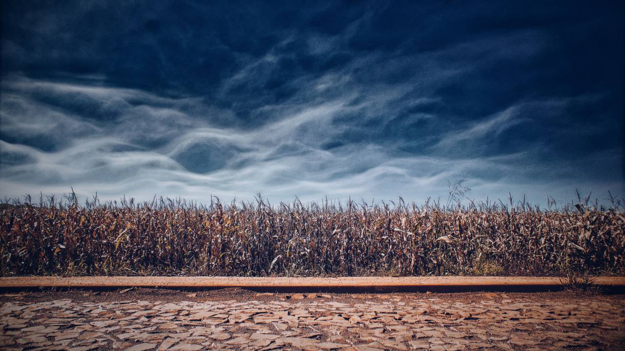dramatic, sky, autumn, fall, nature, agriculture, farmland, farm, crops, clouds, landscape, scenery, vista
, 