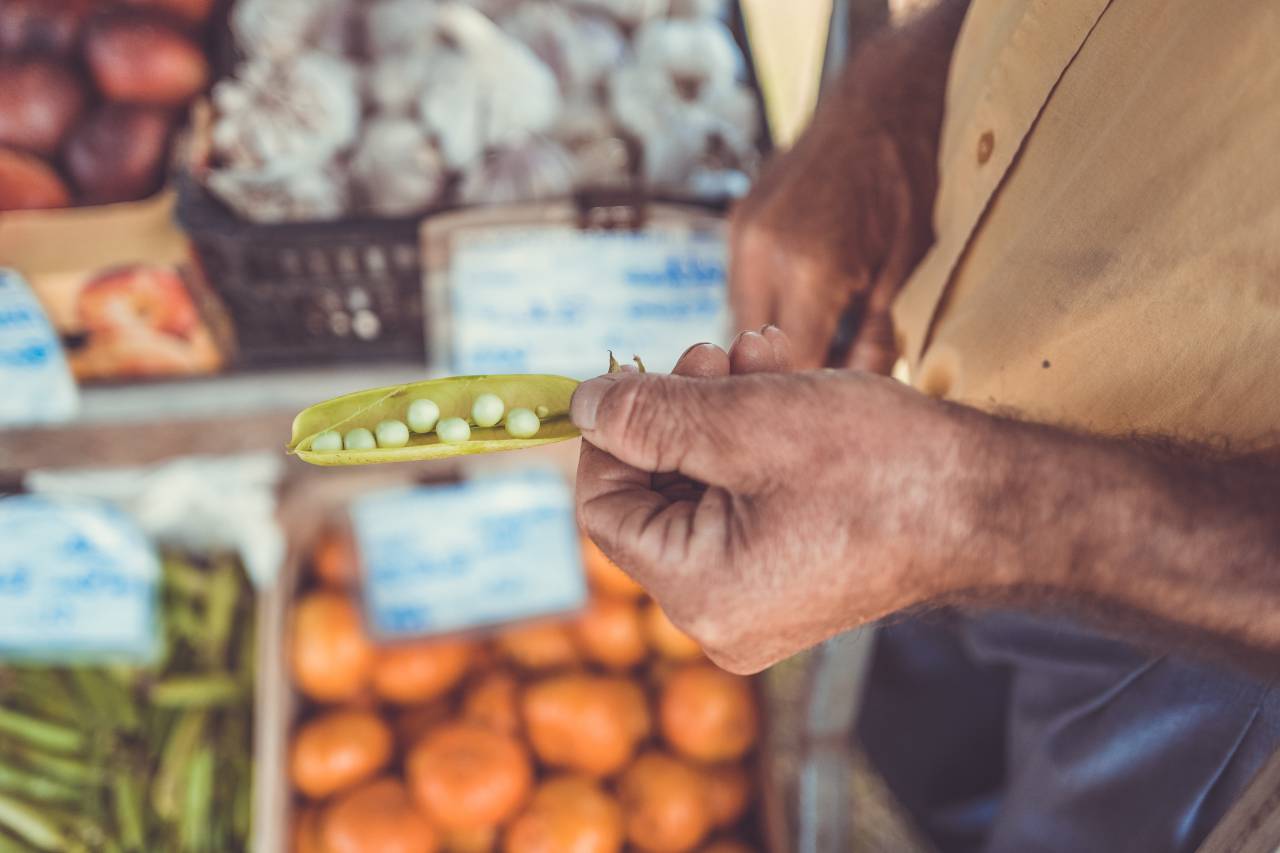 fruits, vegetables, food, market, grocery, seed, beans, hand, arm, blur
, 