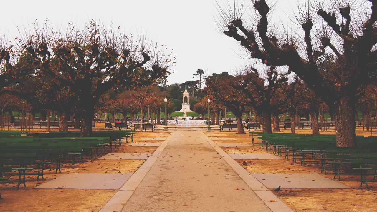 Golden Gate Park, San Francisco, California, bancos, ruta, fuente, árboles,