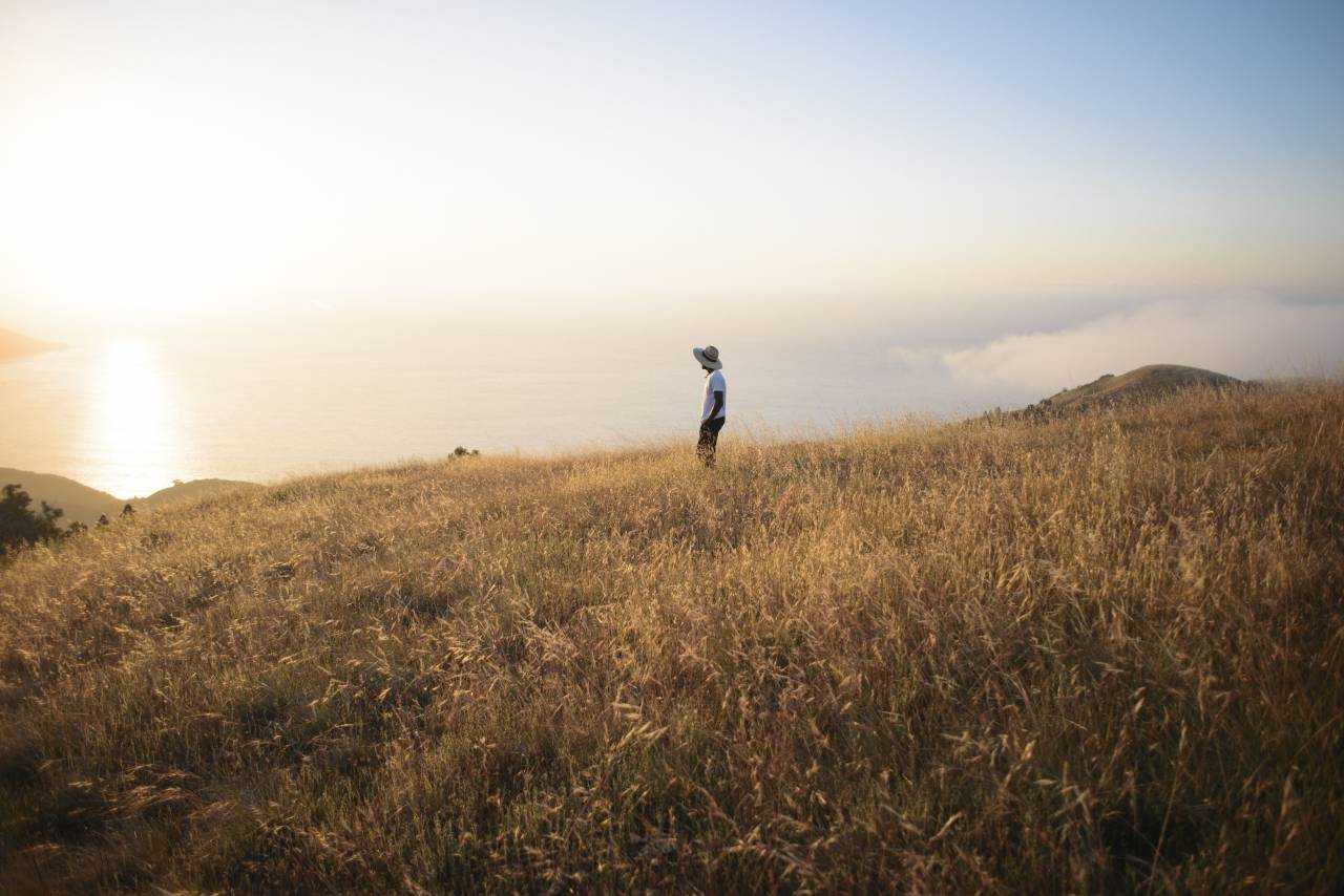 césped, plantas, campo, paisaje, puesta de sol, sol, gente, senderismo, trekking, caminar, océano, mar, horizonte, naturaleza,