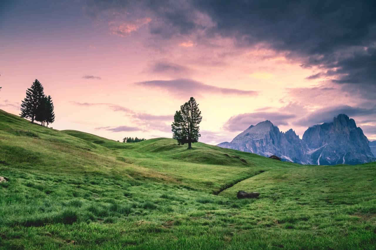 Verde, hierba, montaña, Highland, árbol, planta, al aire libre, naturaleza,