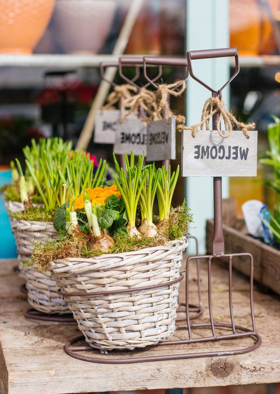 green, plant, garden, agriculture, basket, flowerpot, tag, outdoor
, 