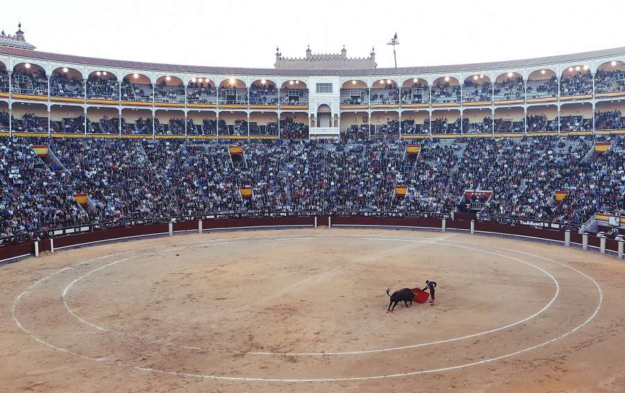 matador, torero, torero, rojo, capa, anillo, estadio, multitud, Madrid, España, bandera, círculo, espectadores,