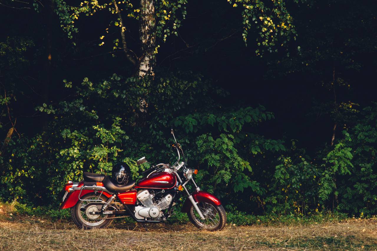 Motocicleta, moto, césped, campo, naturaleza, bosques, bosques, árboles, transporte,