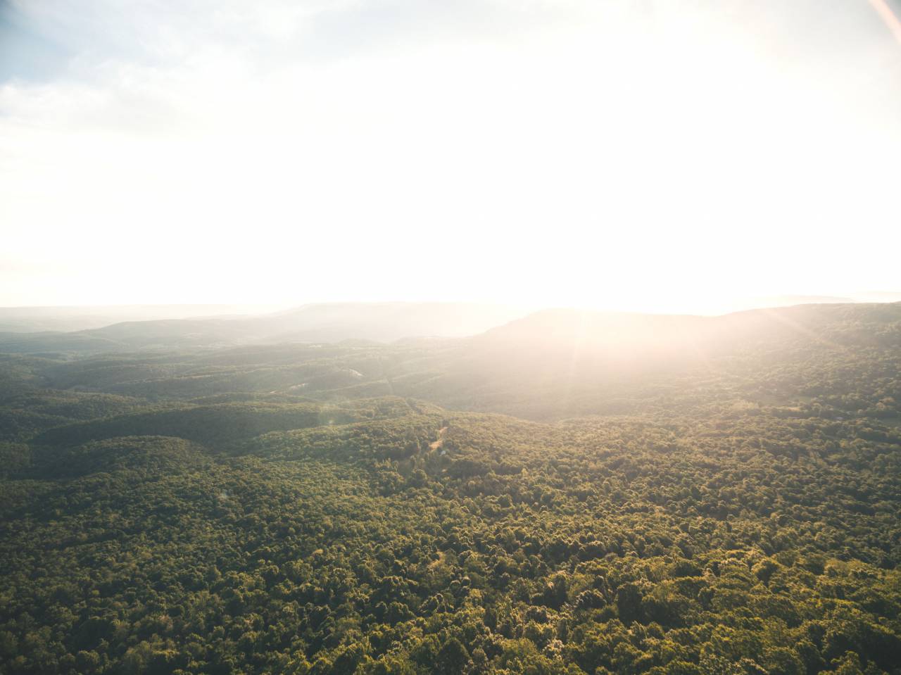 nature, landscape, trees, woods, forest, aerial, travel, adventure, grass, green, field, sun, clouds, sky
, 