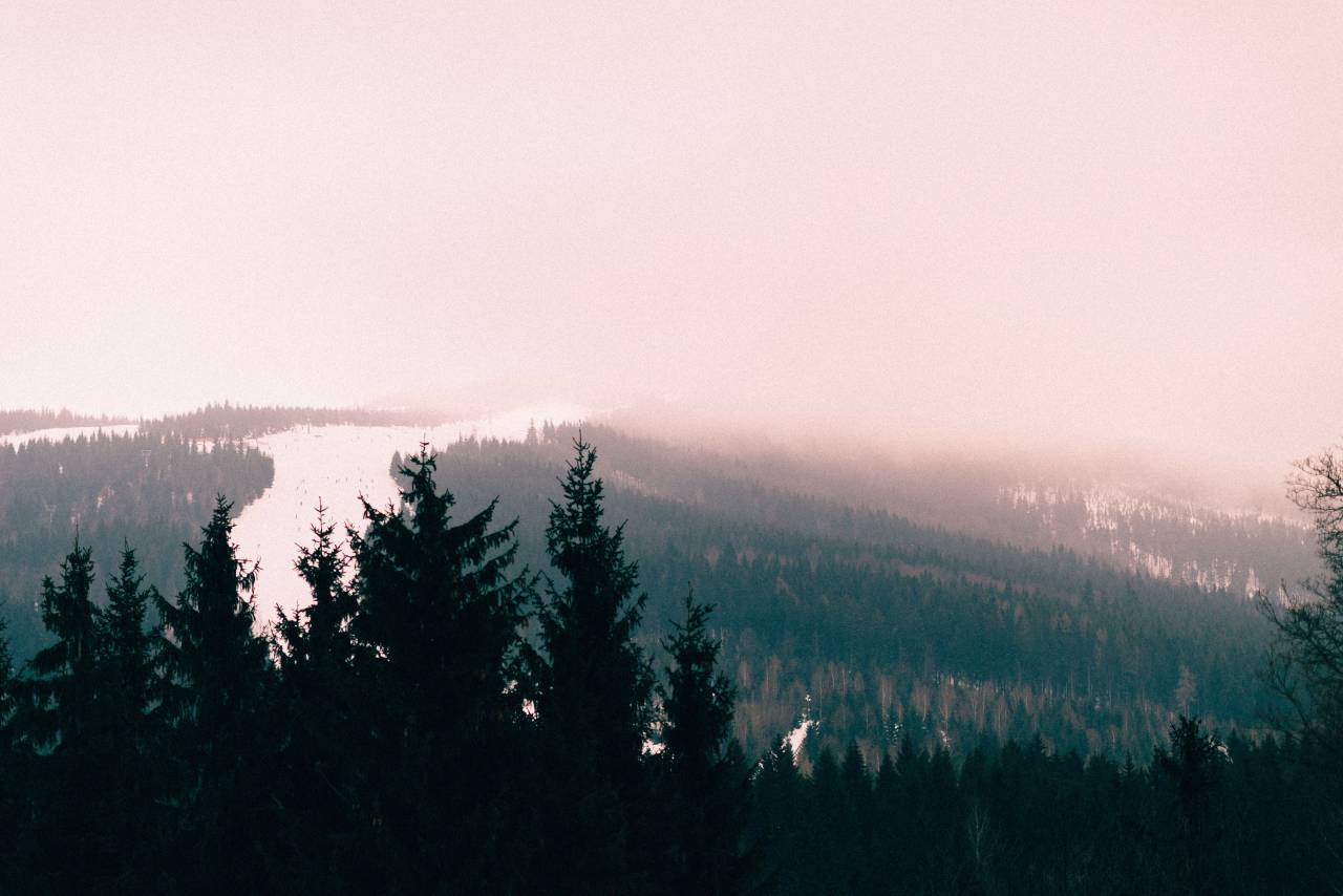 nature, landscape, woods, forest, fog, water, river, lake, dark, shadow, green
, 