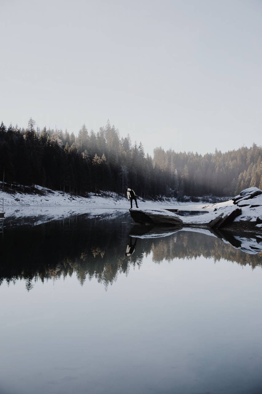 nature, snow, winter, cold, weather, travel, adventure, water, river, lake, woods, forest, trees
, 