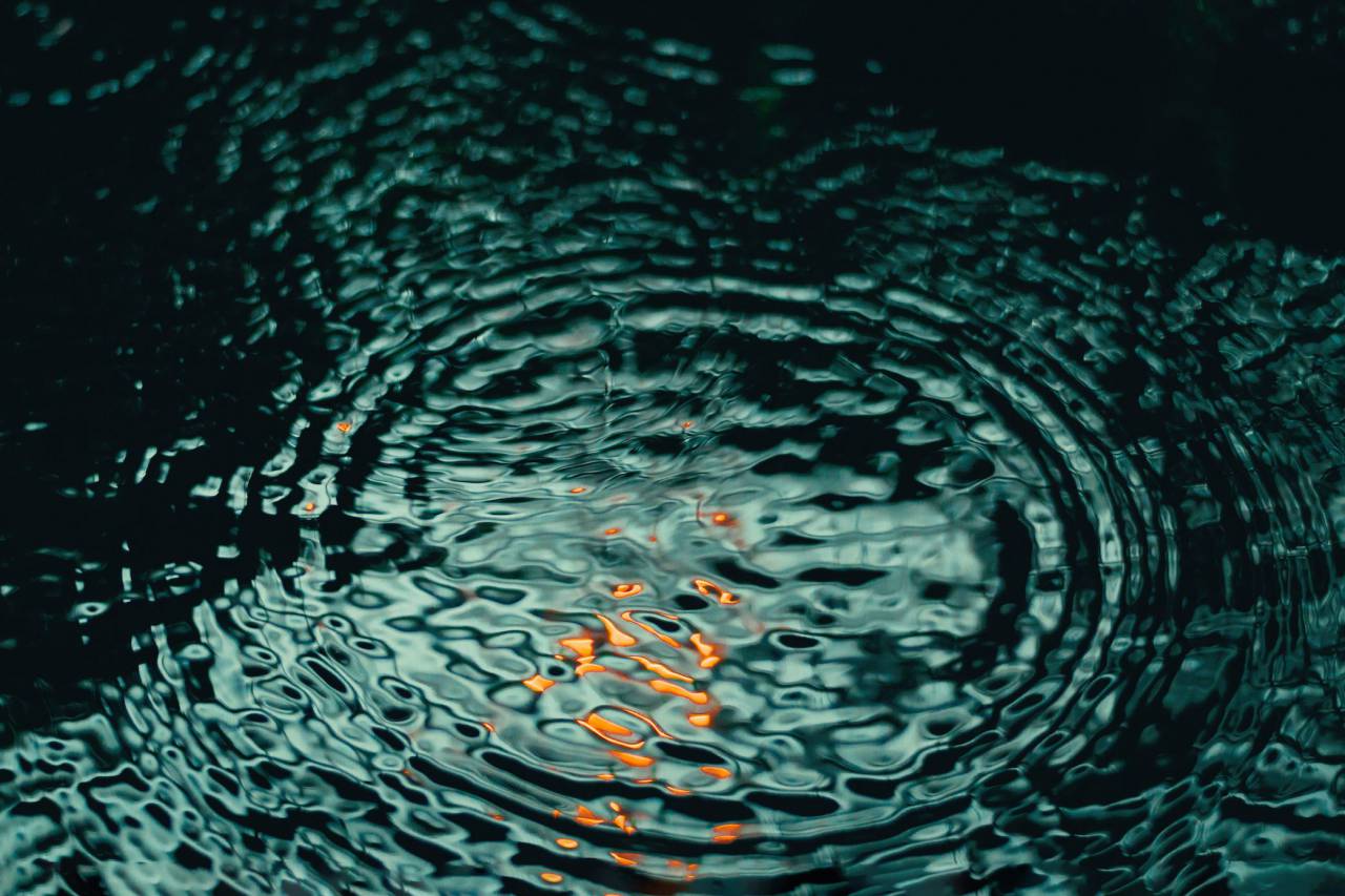 naturaleza, agua, ondas, reflejo, verde,