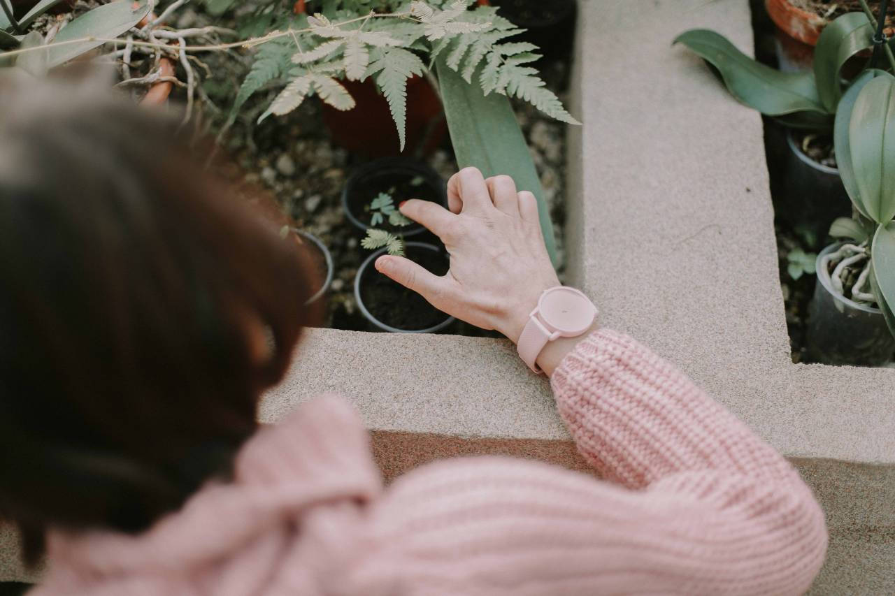 Gente, viejo, mujer, suéter, reloj, tiempo, accesorios, jardín, plantas, verde, maceta, hojas,