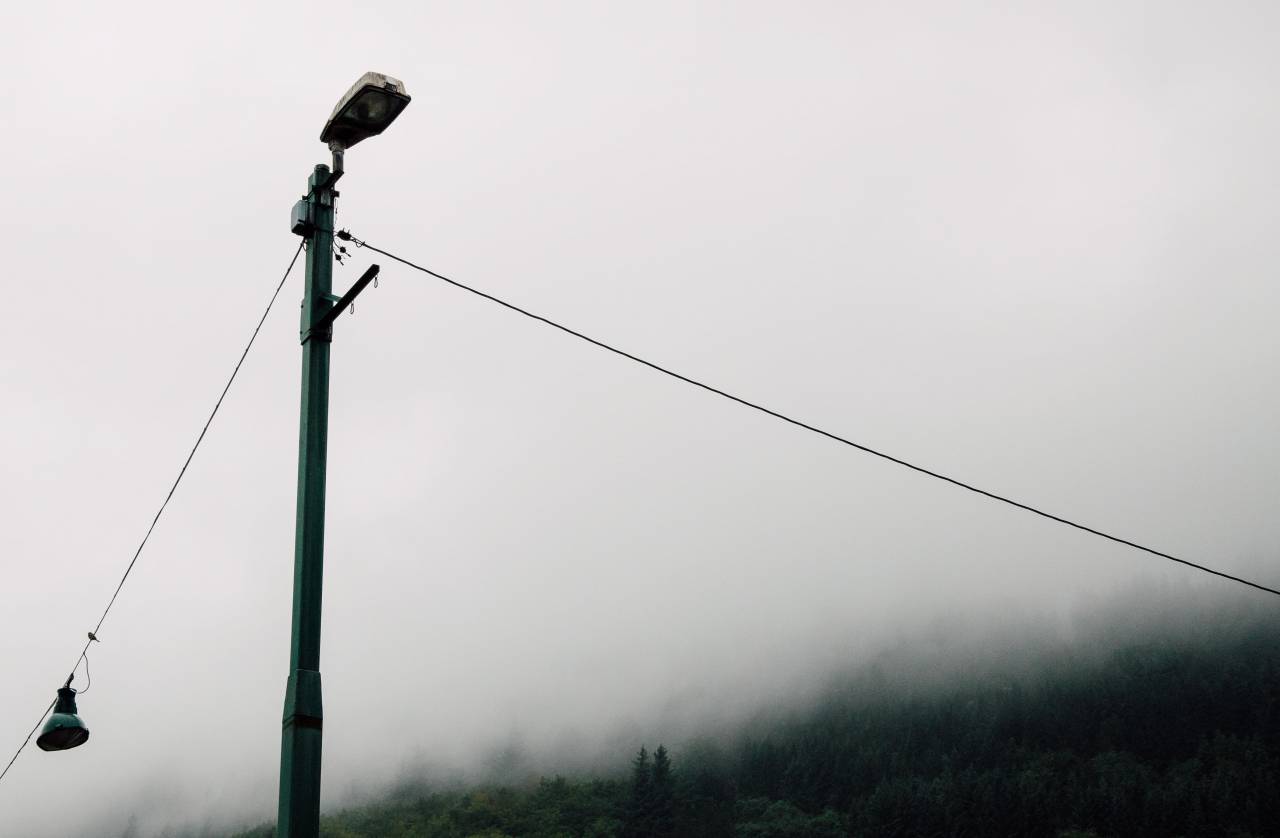 poste, alambre, árboles, planta, niebla,