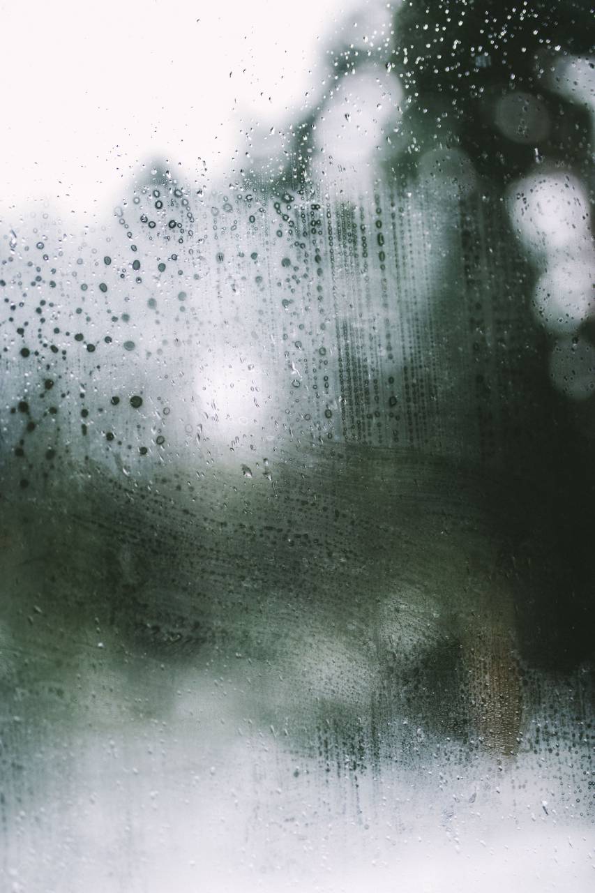 rain, wet, water, drops, blur, bokeh
, 