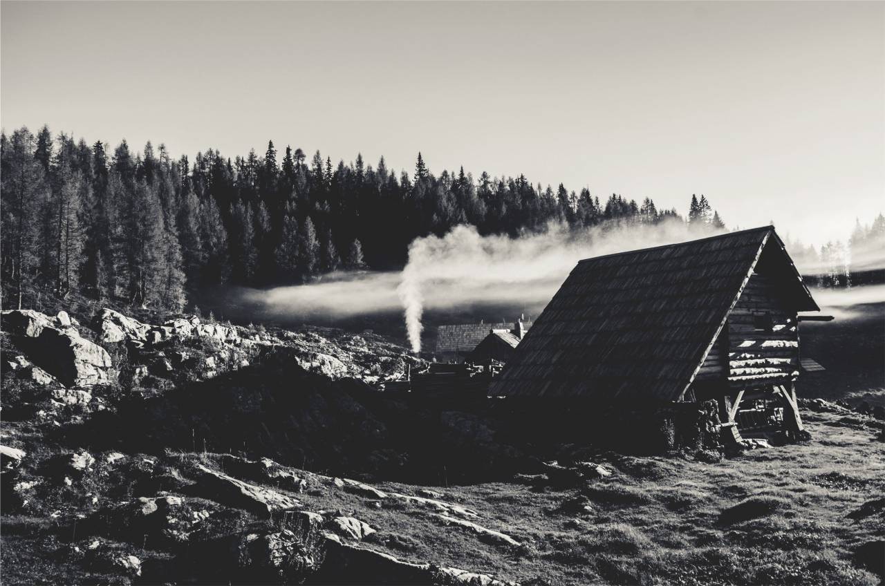 rural, trees, forest, rocks, huts, houses, black and white
, 