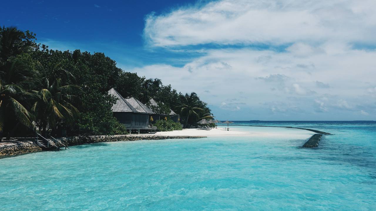 sea, ocean, blue, water, nature, coast, trees, plant, nature, forest, horizon, cloud, sky
, 