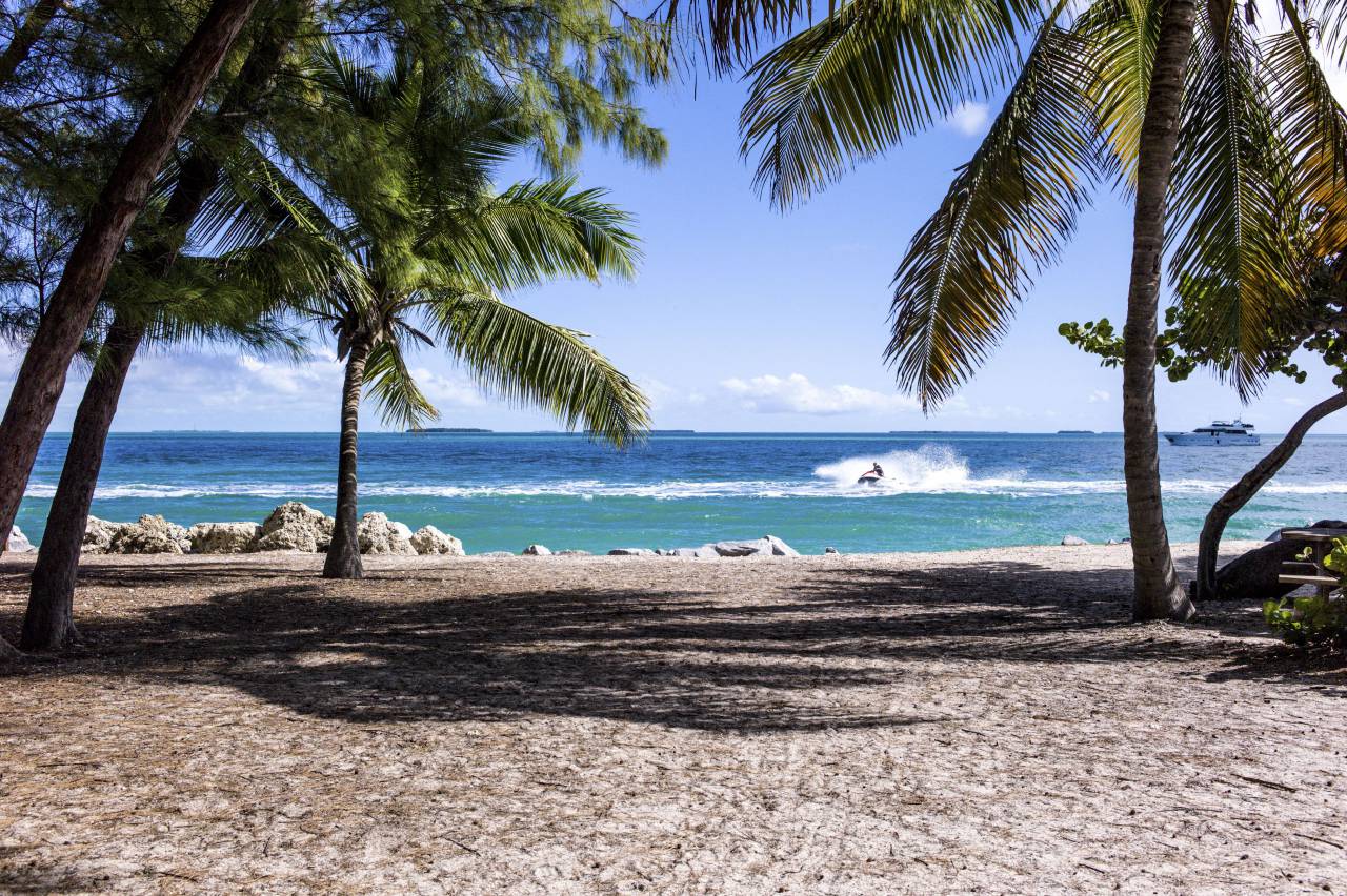 sea, ocean, blue, water, nature, sand, coast, shore, beach, view, horizon, cloud, sky, tree, plant, shade, travel, summer, vacation
, 