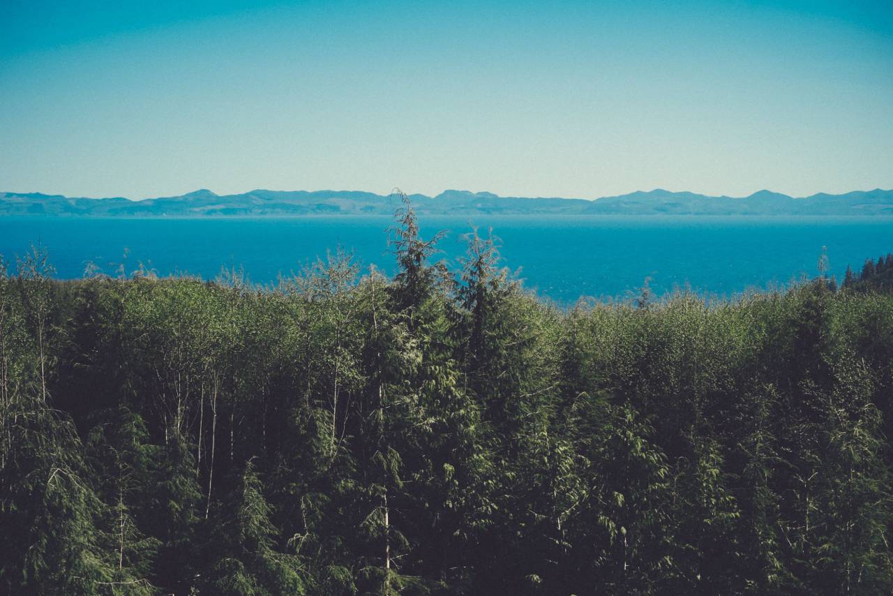 sky, blue, clear, mountains, horizon, water, trees, green, branches, nature
, 