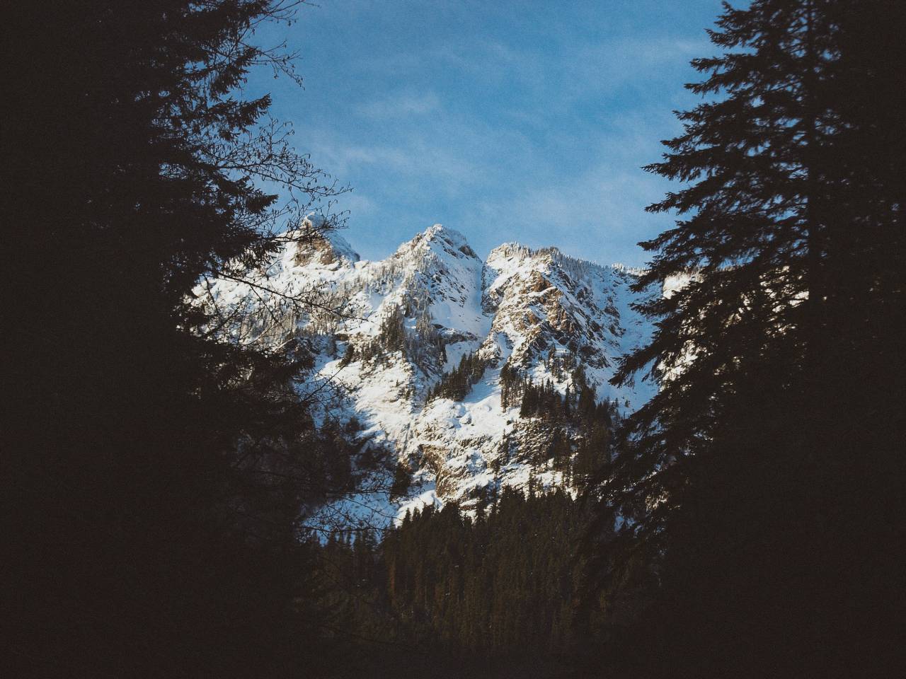 nieve, naturaleza, paisaje, aventura, viaje, viaje, frío, invierno, cielo, nubes, rocas, montaña, árboles, plantas, pinos, azul,