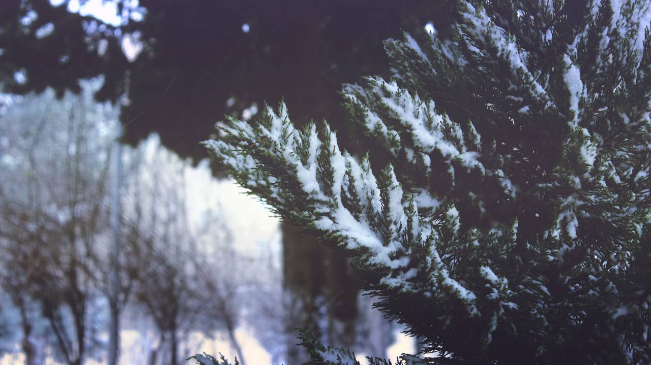 snow, winter, mountain, hills, landscape, adventure, view, sky, clouds, ski, man, people, trees
, 