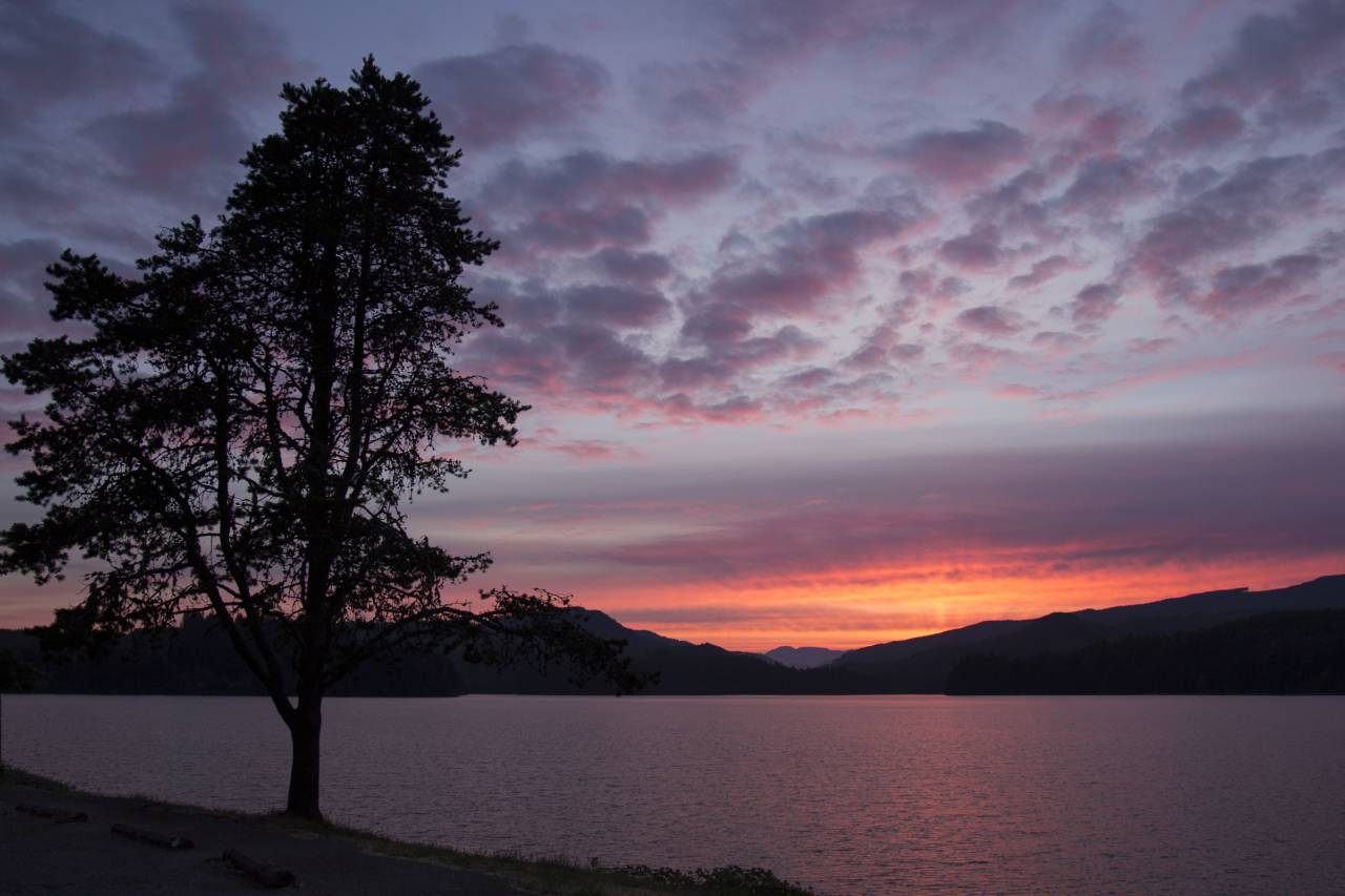 puesta de sol, calma, pacífica, agua, crepúsculo, reflexión, cálido, dorado, orilla, lago, árbol, montañas, sol, nubes, cielo,