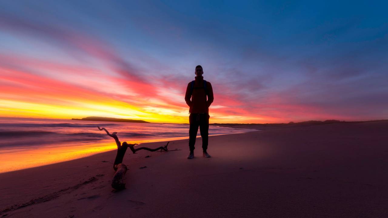 🥇 Image of sunset purple sky beach sand footprints shore - 【FREE PHOTO ...