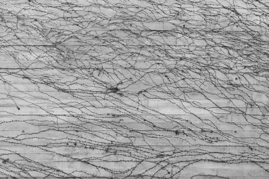 enredaderas, revestimiento, paneles, textura,